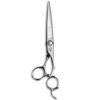 db 20 sword mizutani scissors ciseaux de coiffure japonais