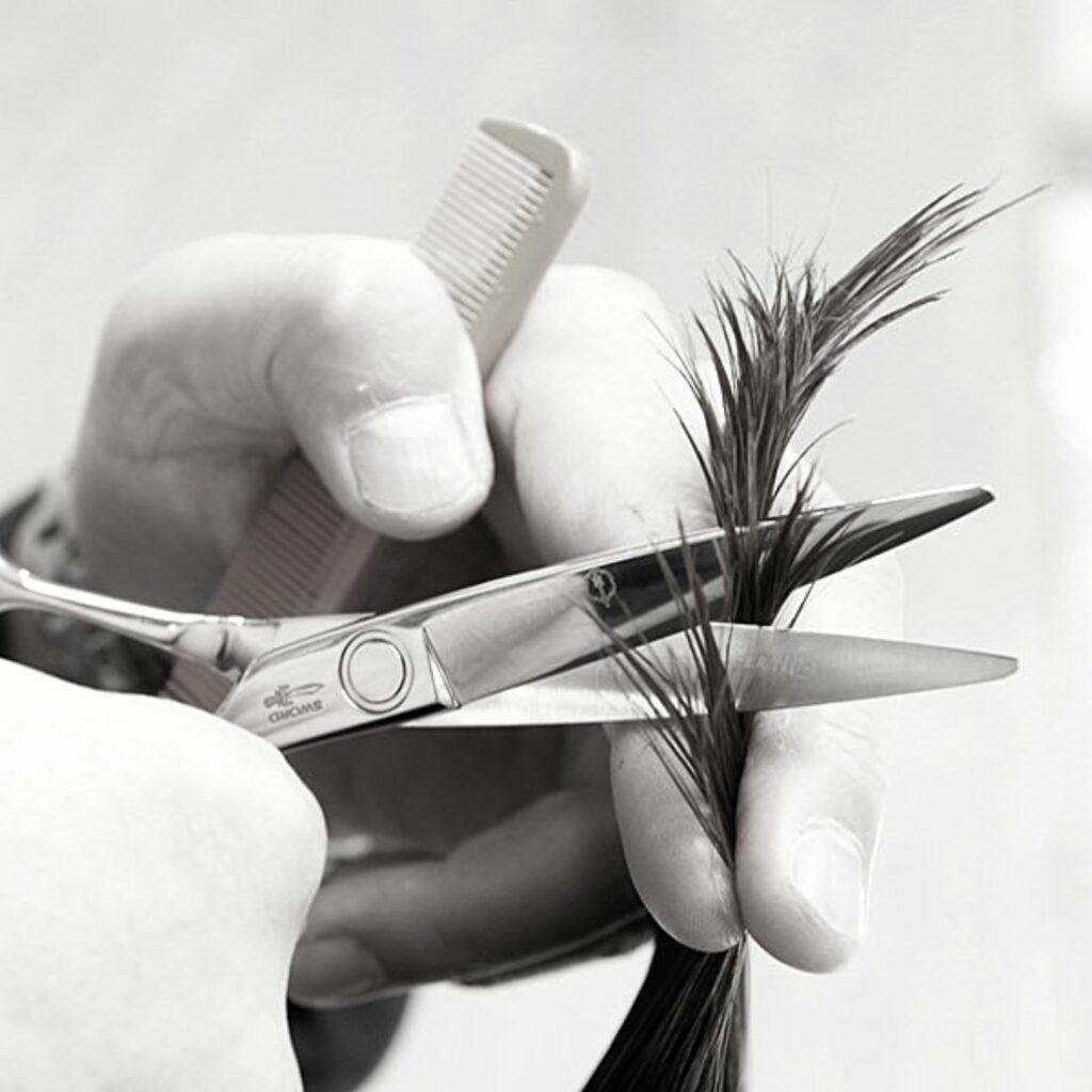 mizutani scissors mb20 sword ciseaux de coiffure japonais -