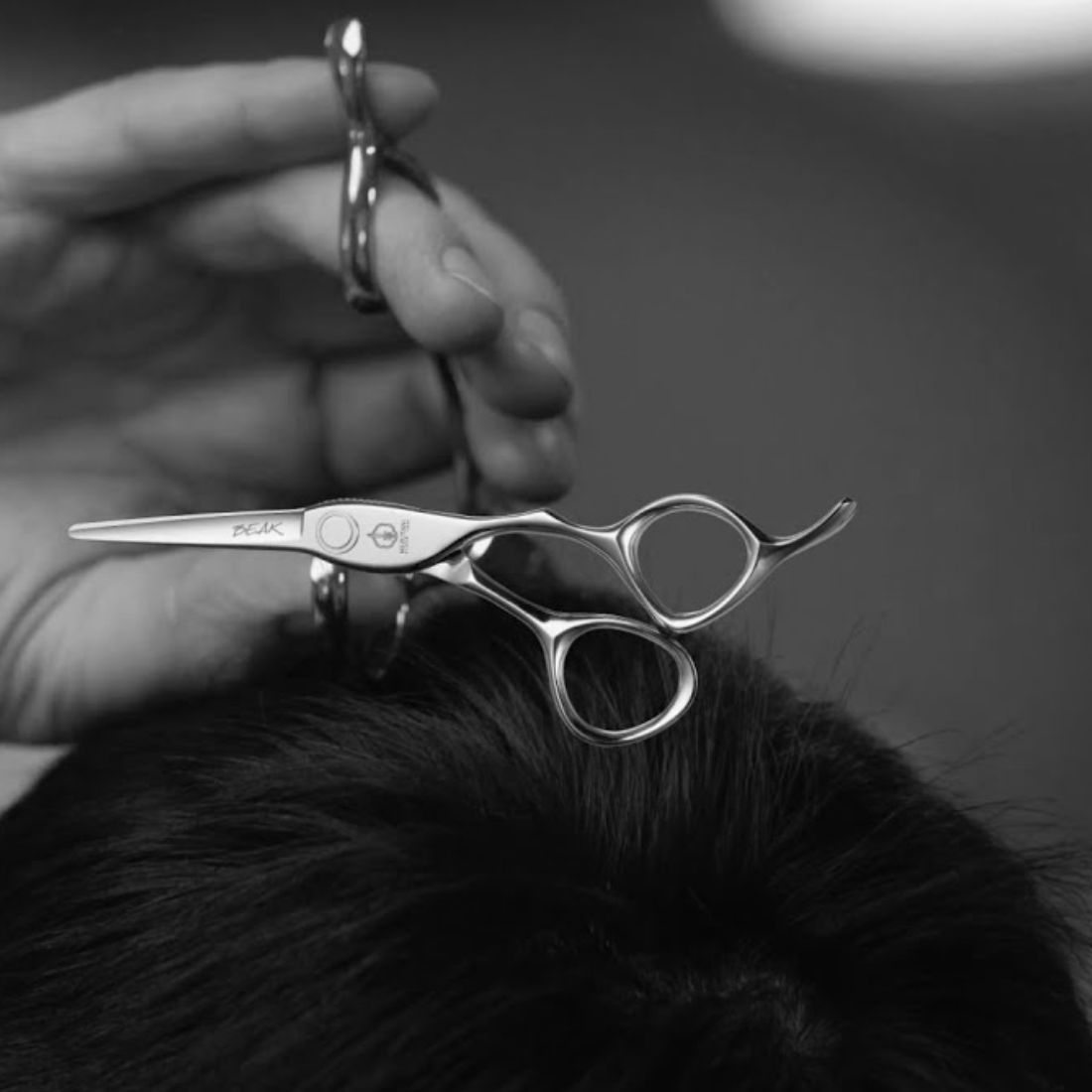 new beak mizutani scissors ciseaux de coiffure japonais (5)