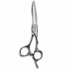 acro z1 mizutani scissors ciseaux de coiffure japonais