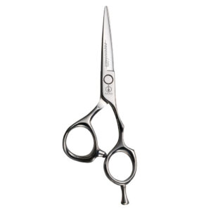 precisioner mizutani scissors ciseaux de coiffure japonais