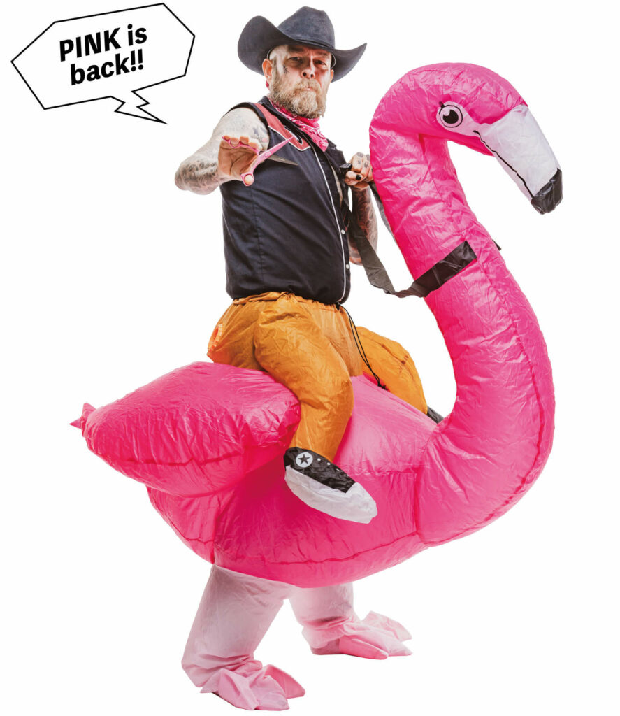 new schorem pink flamingo II mizutani